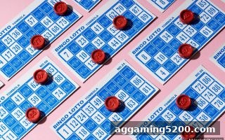 bbin电子站揭秘：龙虎与大小盘口的概率逻辑与投注策略