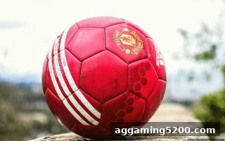 bbin电子站深度解析：USDT入金购彩中复式与单式玩法的全面指南