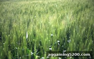 英超观赛新手福利揭秘：bbin电子站带您玩转注册礼遇