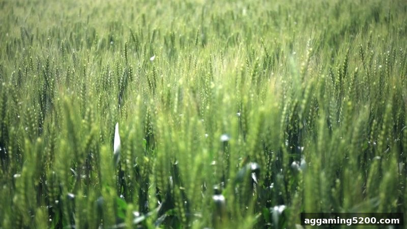 英超观赛新手福利揭秘：bbin电子站带您玩转注册礼遇
