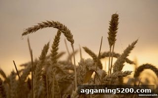 bbin电子站深度解析：洗码返佣的到账周期与最低提款额度全攻略