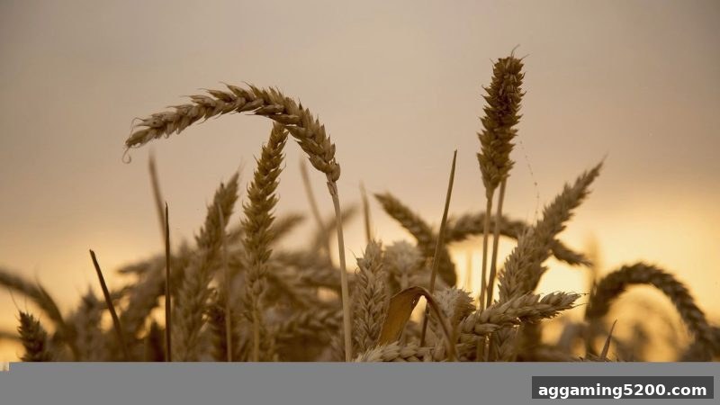 bbin电子站深度解析：洗码返佣的到账周期与最低提款额度全攻略