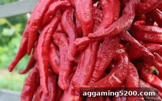 bbin电子站签到福利全解析：每日登录收获惊喜