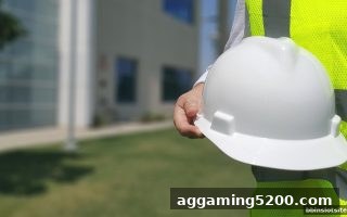 bbin电子站视角下的SA真人平台服务质量与镜像站深度剖析