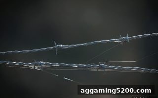 bbin电子站出金攻略：平台提现机制与关键操作全解析